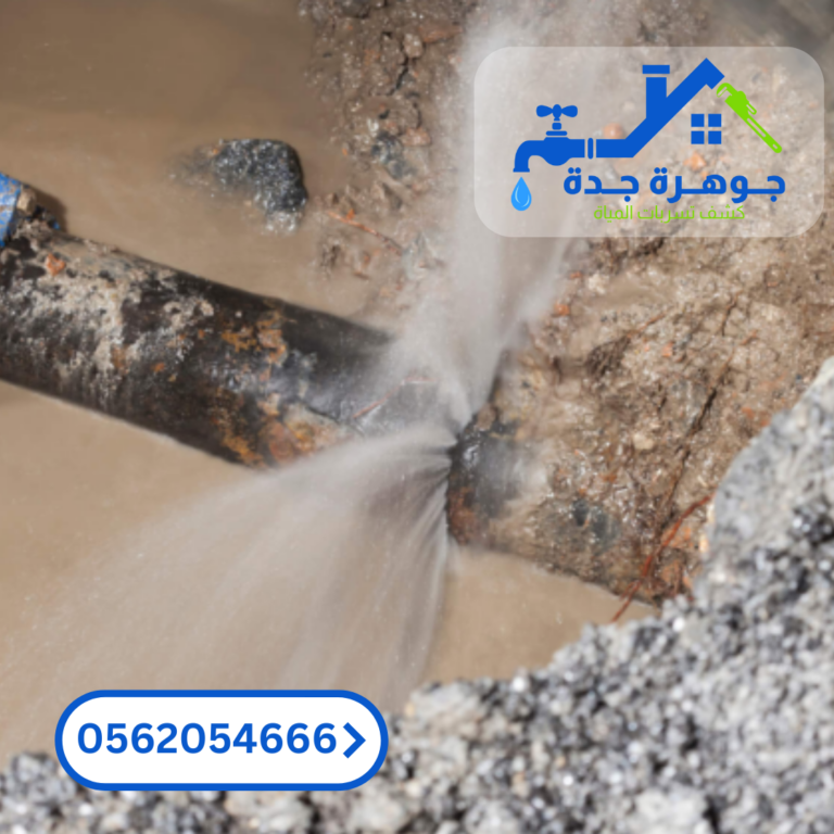صورة 2