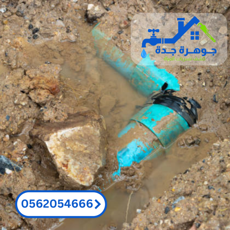 صورة 4